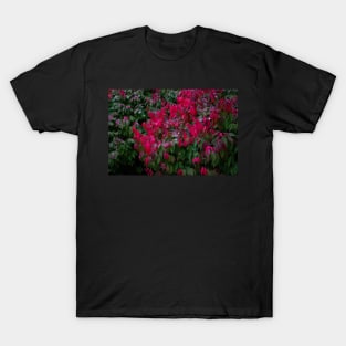 red green leaves bush T-Shirt